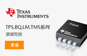 Texas Instruments（TI）